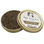 Calvisius: Oscietra Royal Caviar 500g